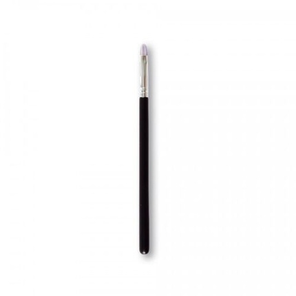 Top Choice Rainbow Eyeshadow Brush 36651 P1