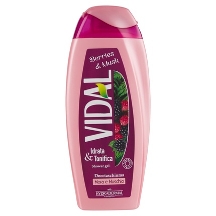 Vidal Blackberry and Moss Shower 250ml